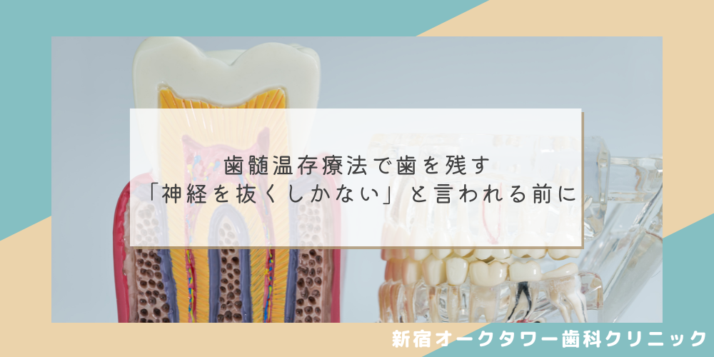 歯髄温存療法とは？歯を抜かずに残すための選択肢を解説